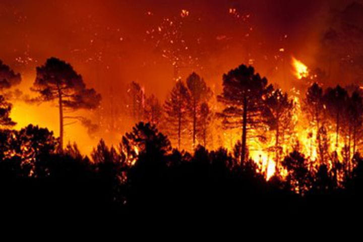 Incendios forestales y su gestión fallida