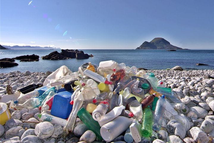 Implicaciones Ecológicas del Uso de Protectores Solares