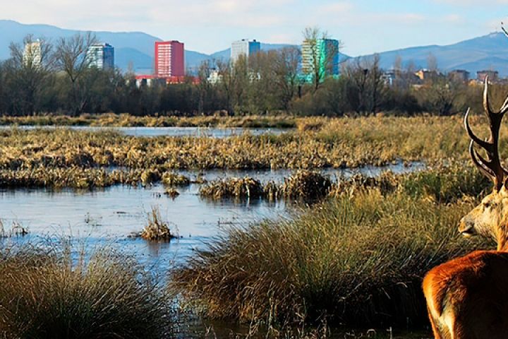 Anillo Verde Vitoria-Gateiz (fuente: Ayuntamiento Vitoria-Gasteiz)