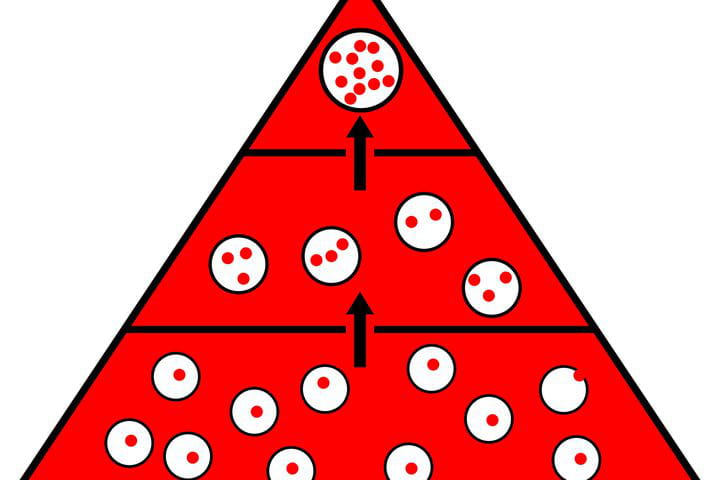 Bioamplificación a lo largo de la pirámide trófica