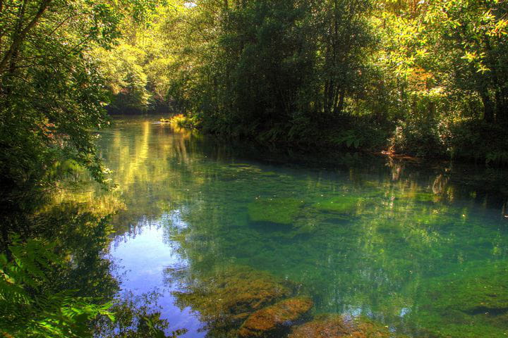 Parque Natural Fragas do Eume, área declarada ZEC (Zona especial de conservación)