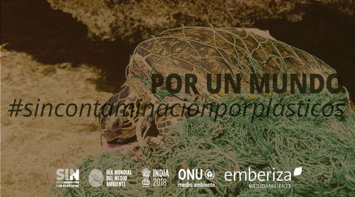Emberiza-consultoría ambiental por un mundo sin contaminación por plásticos