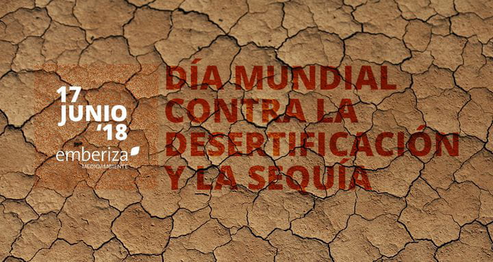 ¿Cómo afecta la desertificación a la población mundial?