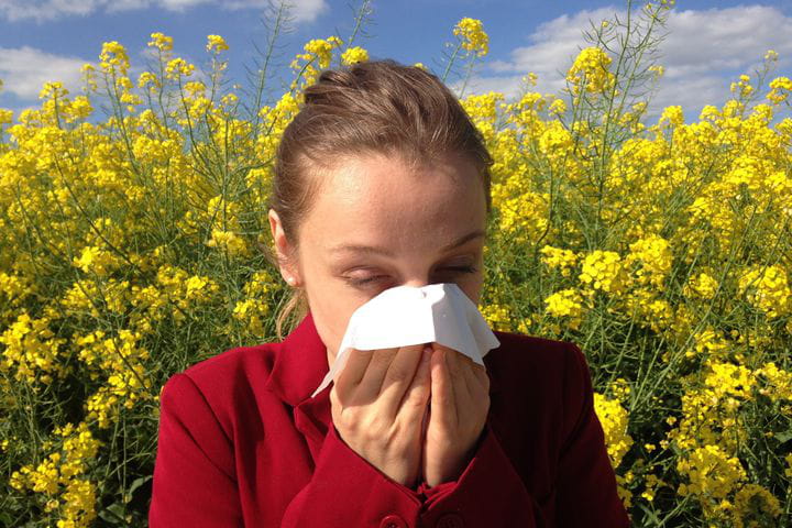 Alergia al polen o polinosis